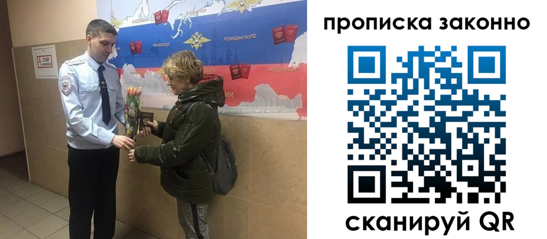 где прописаться в Кольчугино